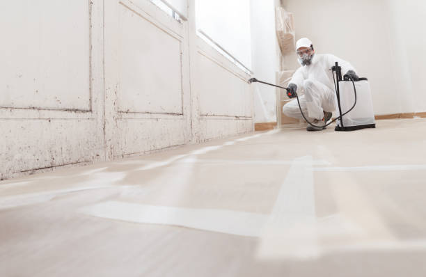 24/7 Emergency Mold Removal experts in Somerville, NJ